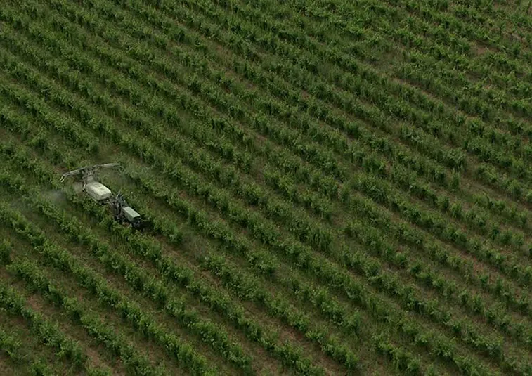 alquiler de drones agricultura de precisión